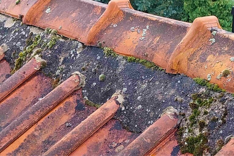 Lav och mossa på tegeltak
