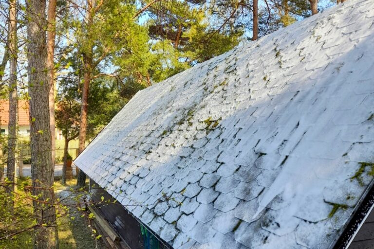 Shingeltak behandling