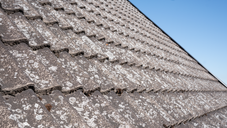 En närbild av ett smutsigt tak med mörka takpannor, kraftigt angripet av vit och grå påväxt som mossa och lav mot en klarblå himmel. Detta visar behovet av en professionell takbehandling från Nanostone för att effektivt rengöra och skydda takets yta.